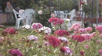 Apartment Pergolato Di Sotto *